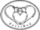 Logo Pelvired